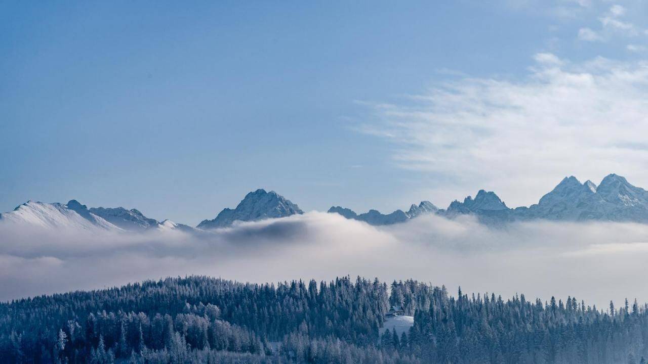 Фото  Dziadkowka Гличарув 34