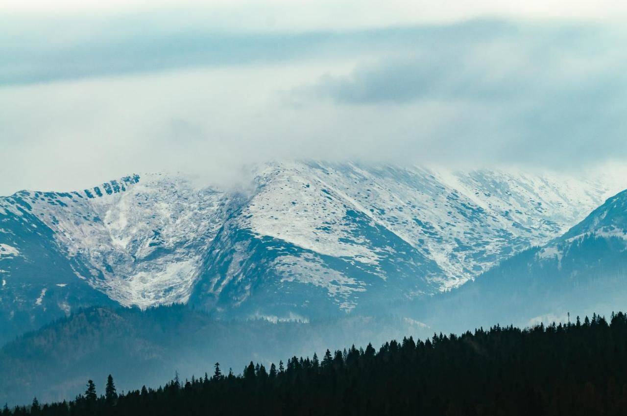 Фото  Dziadkowka Гличарув 38